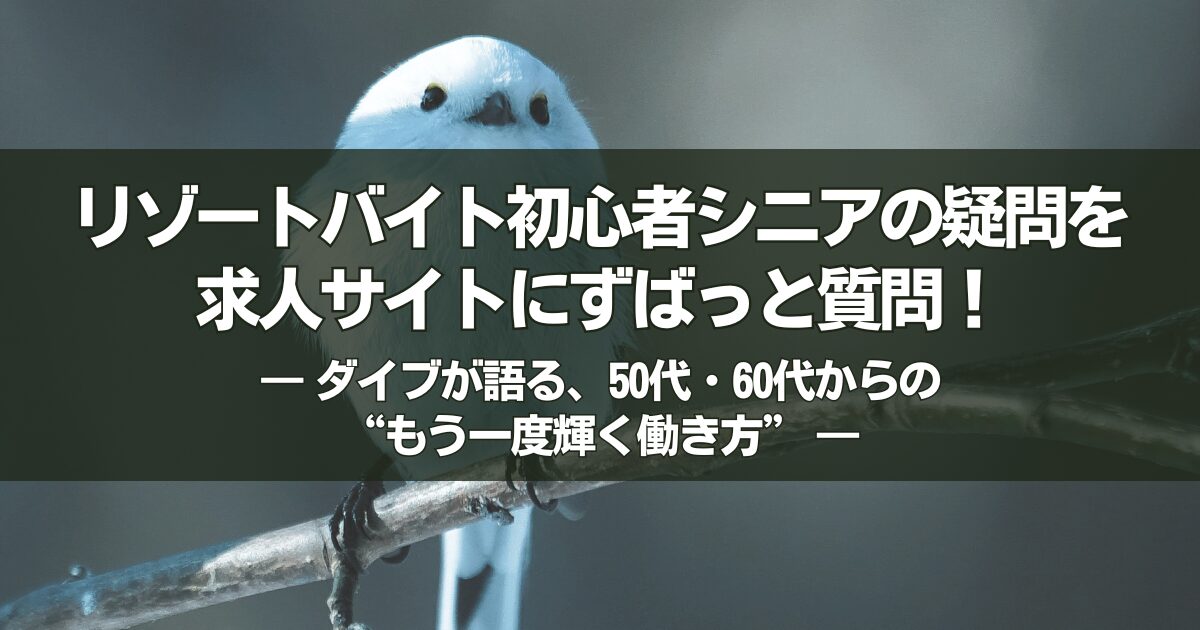 リゾートバイト初心者シニアの疑問を求人サイトにずばっと質問!― ダイブが語る、50代・60代からの“もう一度輝く働き方” ―