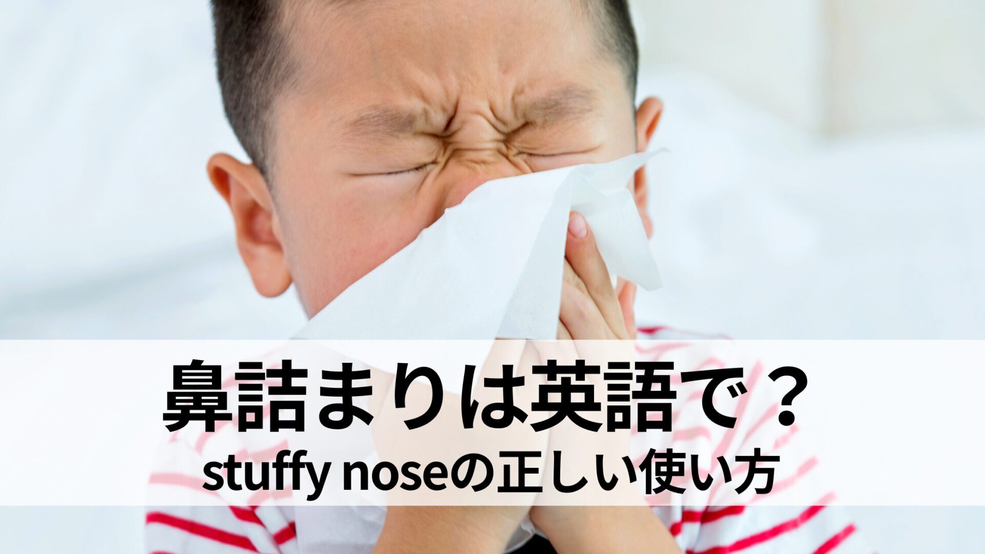 【鼻詰まり 英語】花粉症は英語で何て言う？stuffy noseの意味・発音・使い方を解説