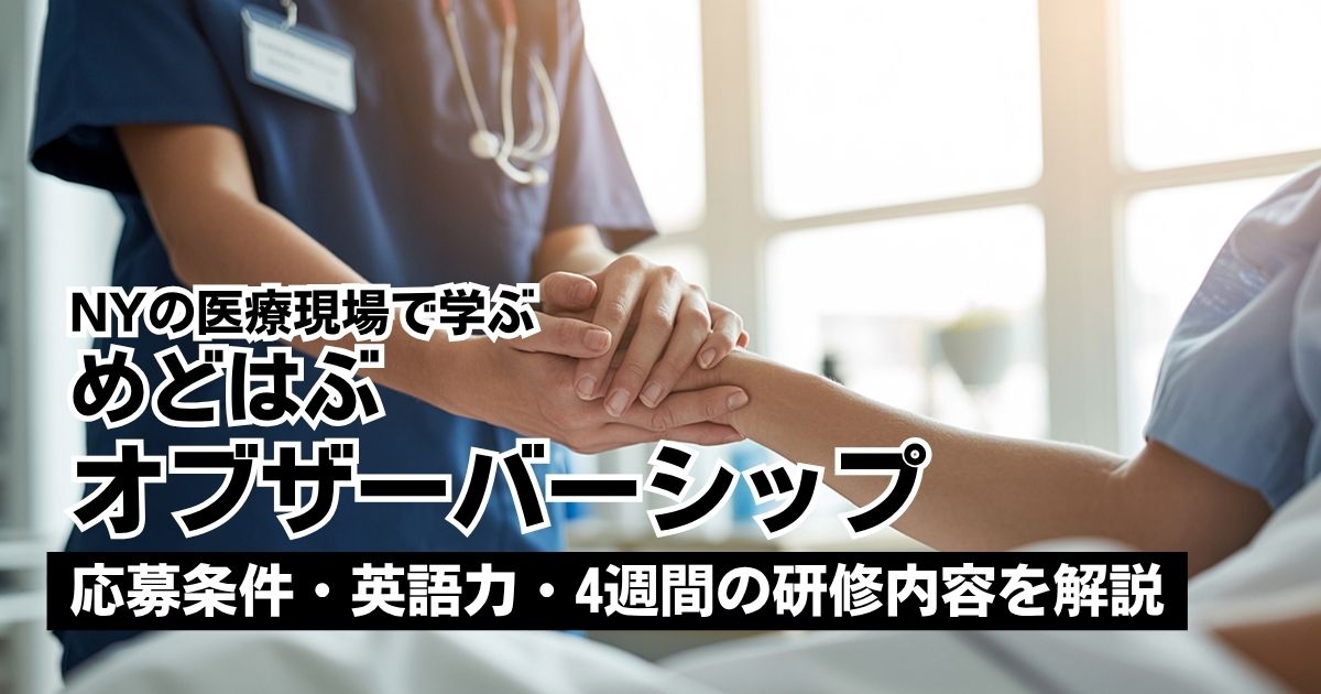 めどはぶのオブザーバーシップ制度とは？NY研修の応募条件・必要な英語力を解説